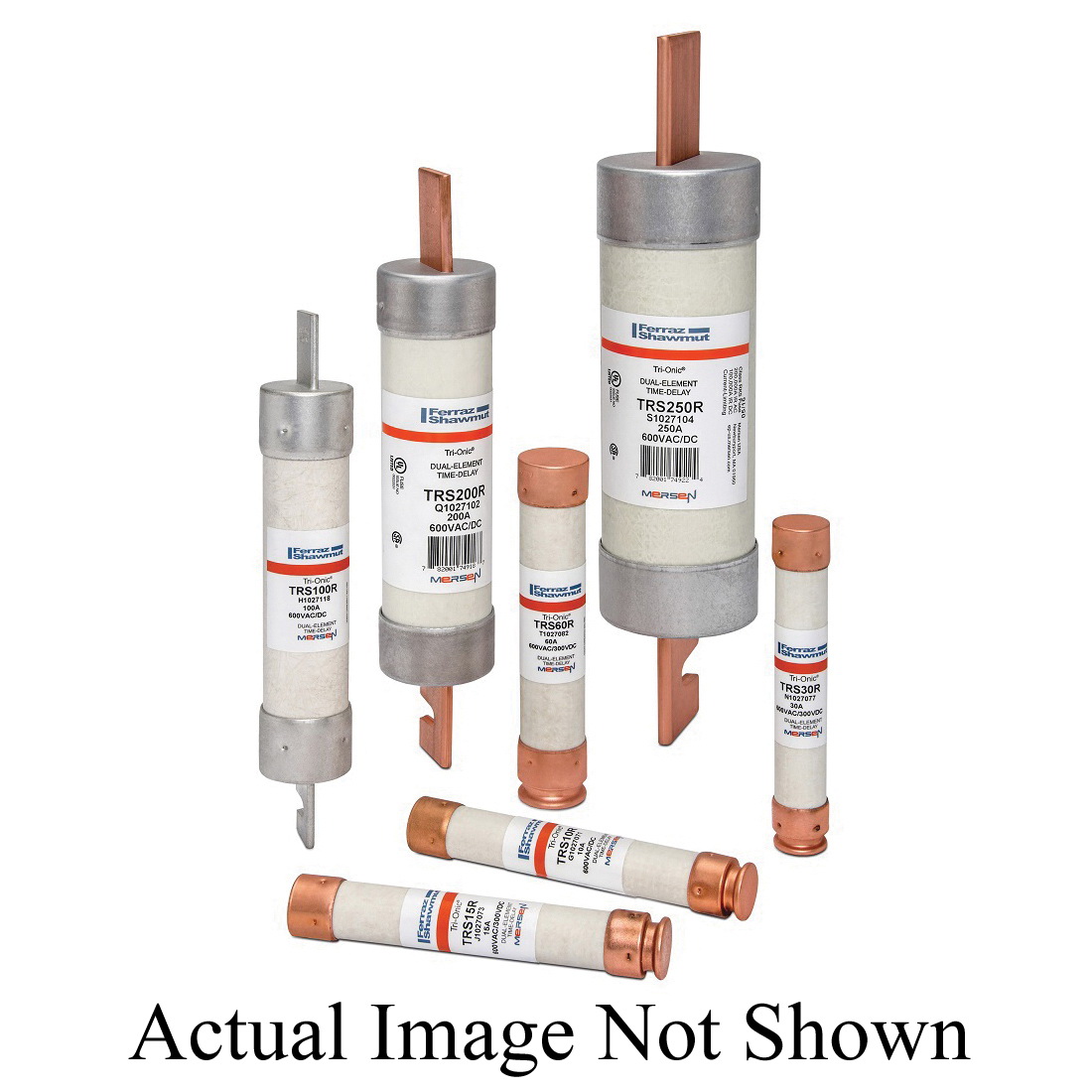 Ferraz Shawmut TRS450RID